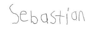 Sebas-Signature-300x105-1
